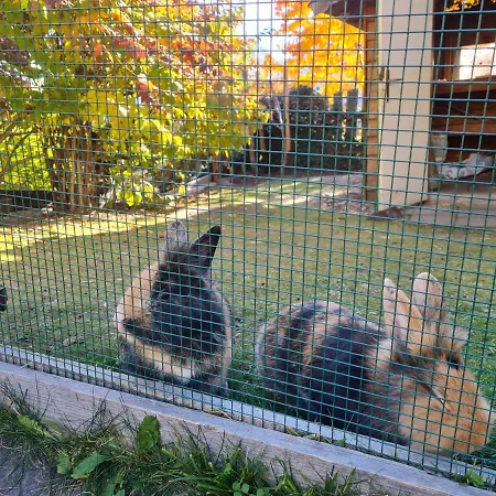 Tauernzauber Апартаменти Шладмінг